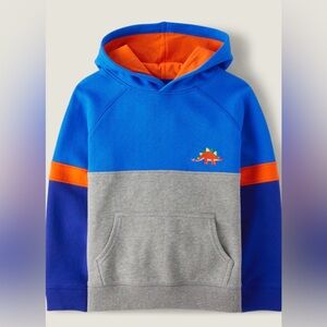 Gymboree Boys Dino Colorblock Fleece Hoodie - Dino Friends